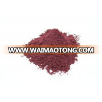 Freeze Dried Blueberry Powder