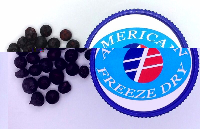 Freeze Dried Whole Blueberry, Large or Small- Emergency Survival Dried Food