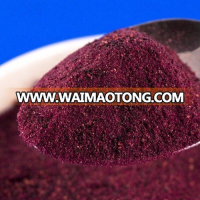 Freeze Dried Blueberry Powder