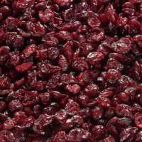 Dried berries dehydrated fruit freeze dry cranberry powder freeze dried cranberry